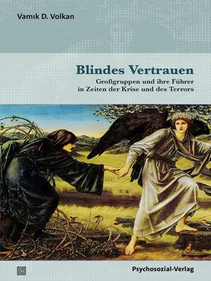 cover image of Blindes Vertrauen